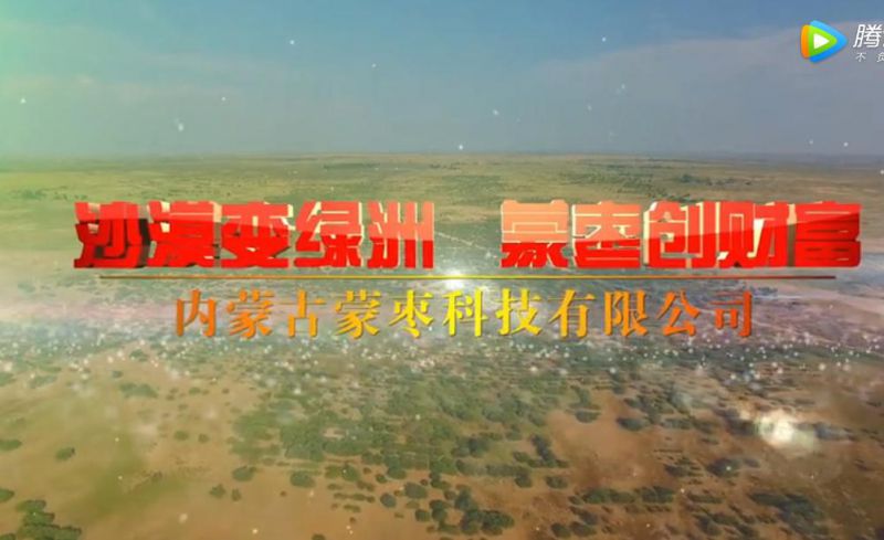 沙漠变绿洲，蒙枣创财富