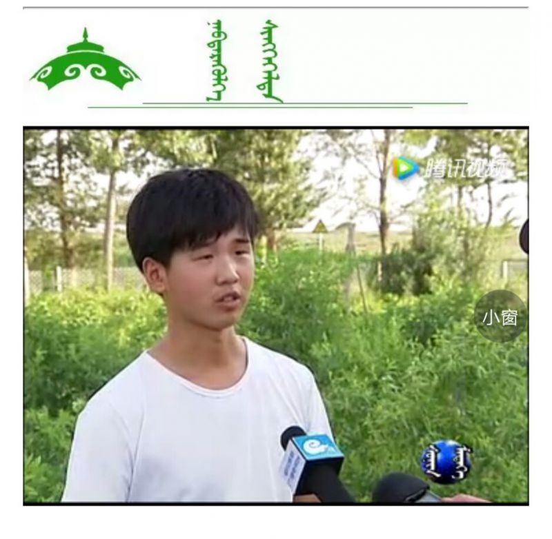 【TV】毛乌素沙漠里的绿色“革 命”