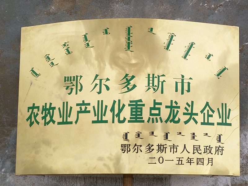 龙头企业