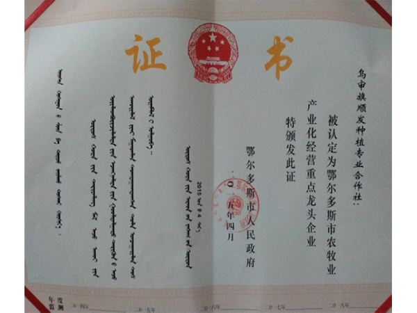 重点龙头企业