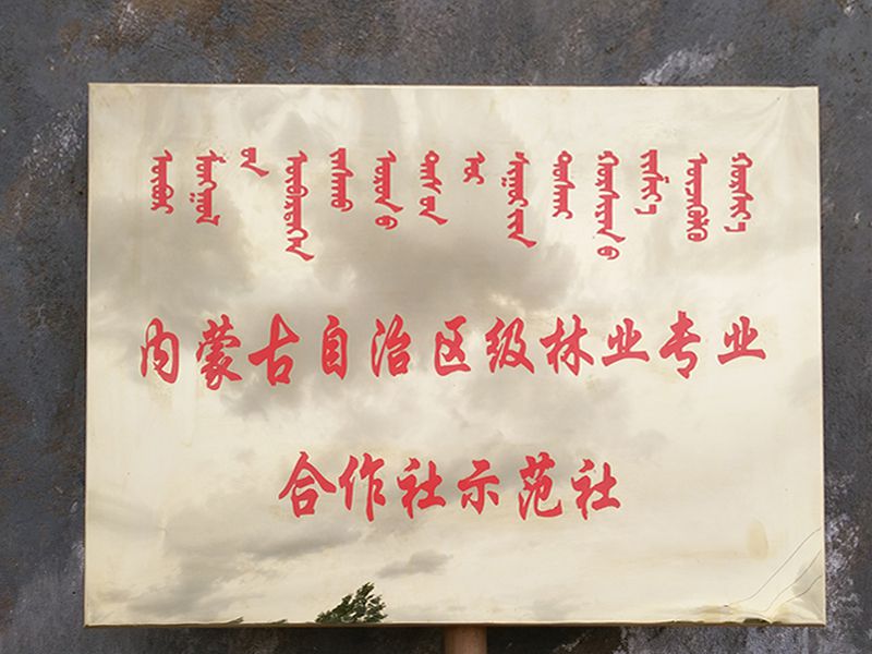 自治区级专 业合作社