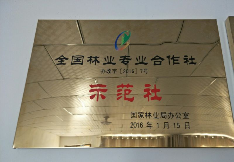 全国林业专 业合作社示范社