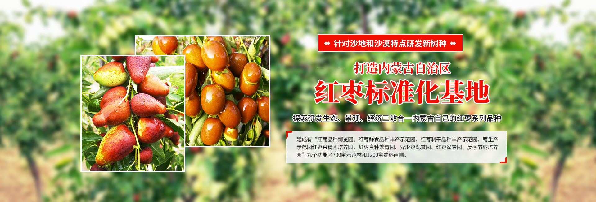 乌审旗顺发种植合作社