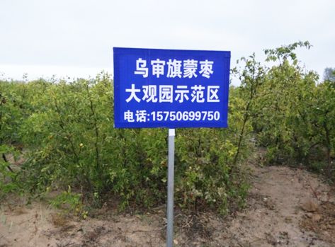 苗源优势