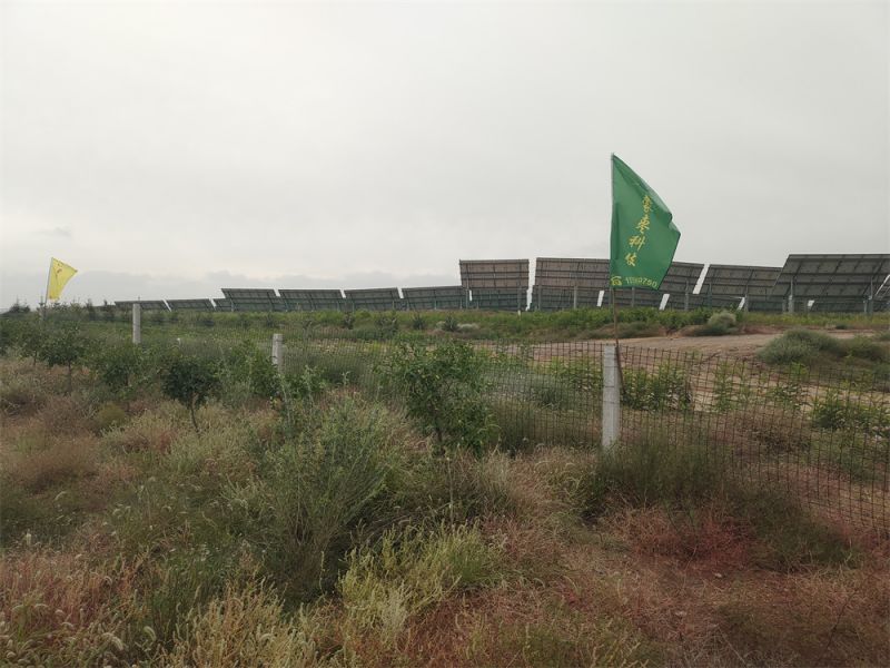 基地案例